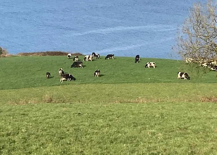 Couette-café Dromcloc House Bantry