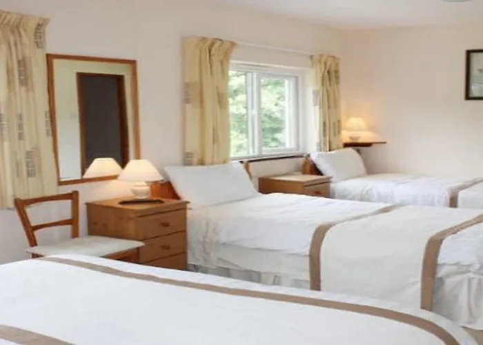 Dromcloc House 3*
